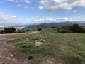 EkoAkcia03