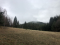 IMG_022127