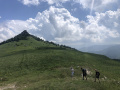 IMG_013976