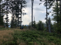 M_Fatra_07
