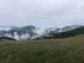 IMG_014878