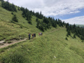 IMG_014889