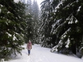 _1120733 copy