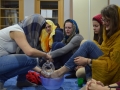 DSC_2241.JPG