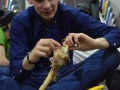 DSC_2263.JPG