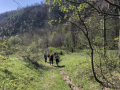 Krizna03