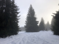 IMG_017855