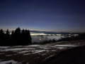 Silvester01