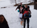 Silvester05