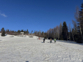 SilvestrovskyVepor03