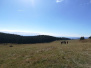 Teambuilding kordinátorov - 28.-29.9.2018