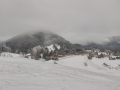IMG_20161117_131039