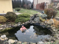 ZazimovanieJazierka03